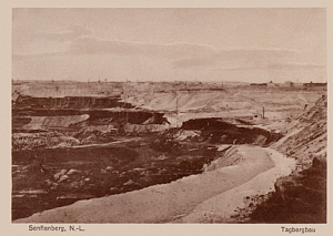 Senftenberg